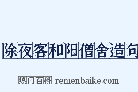 除夜客和阳僧舍造句是什么意思的图片